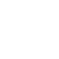 Avalon Cooper | Branding & Social