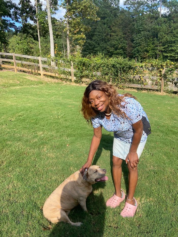 Dog Groomers Home Service Online