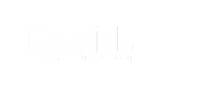 BridgeNet Consulting Group