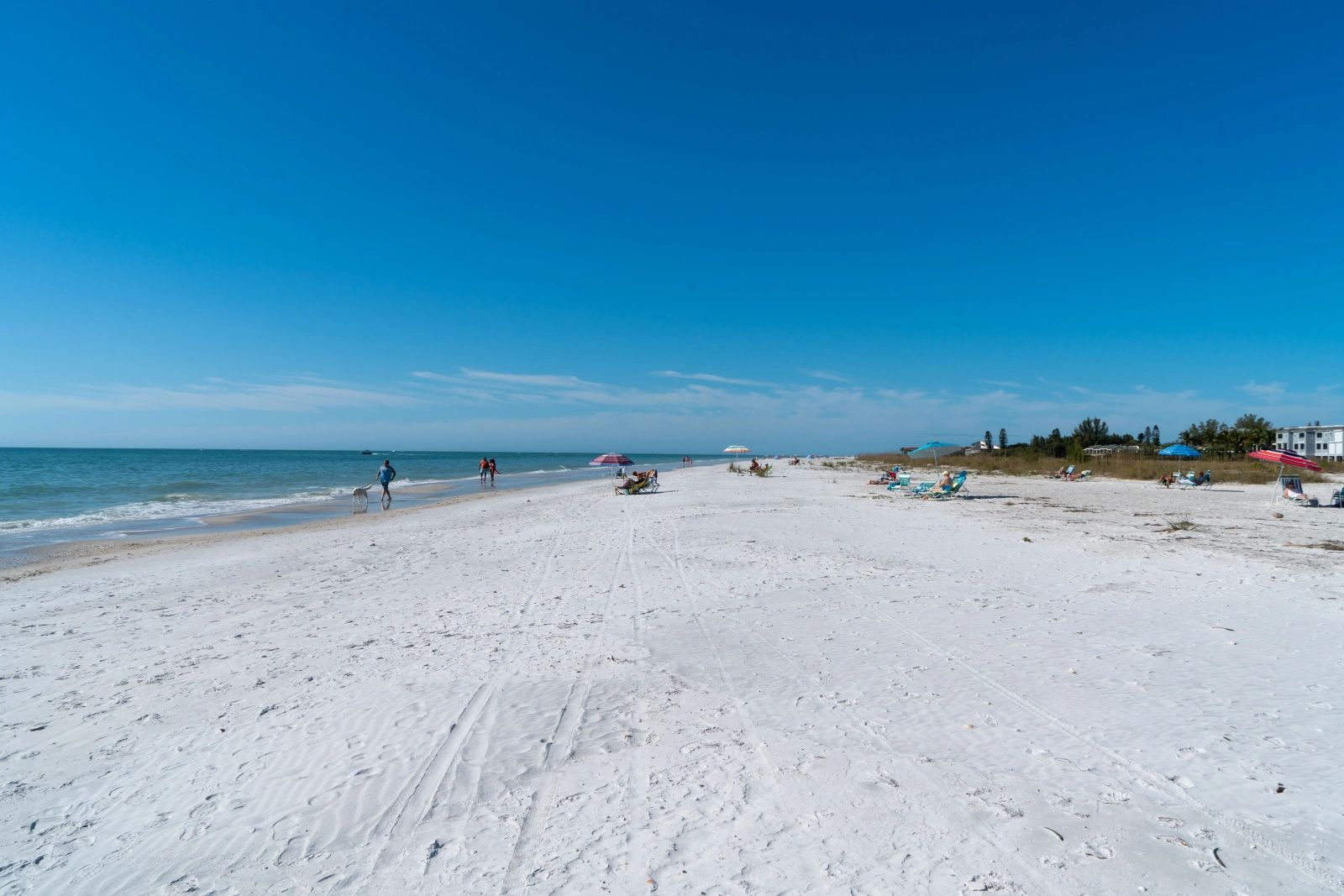 Skipper & Associates