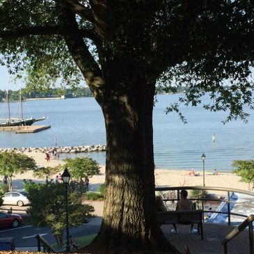 Waterfront overlook on Church Street