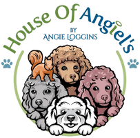 House Of Angiel's