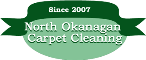 northokanagancarpetcleaning.com