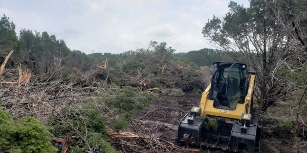 Clearing acreage of scrub trees and cedar.