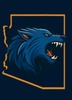 Arizona Coyotes 