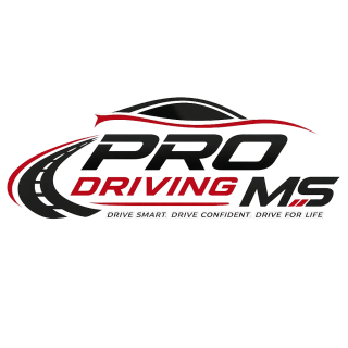 prodrivingms.com