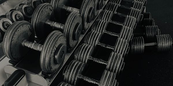 Rows of black dumbbells arranged on a gym rack.