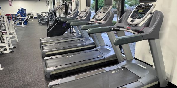 Row of modern treadmills in a spacious gym area.