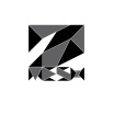 Z-MESH Innovations