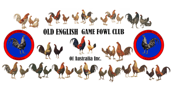 Old English Game Fowl Club of Australia INC