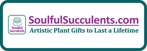 Soulful Succulents