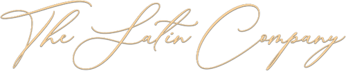thesatincompany.com