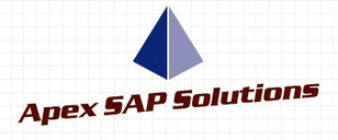 Apex SAP Solutions