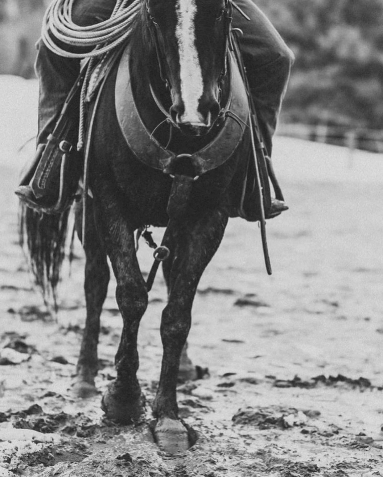 Rein It In Brand - Tack Consignment, Western Tack