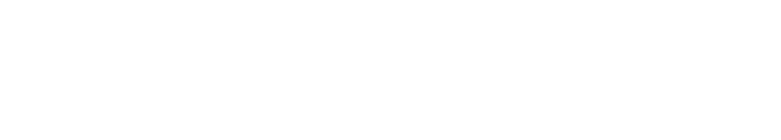 Veritas Technology Solutions LLC