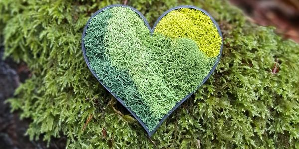 Heart Moss Magnet