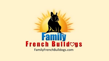 Family French Bulldogs