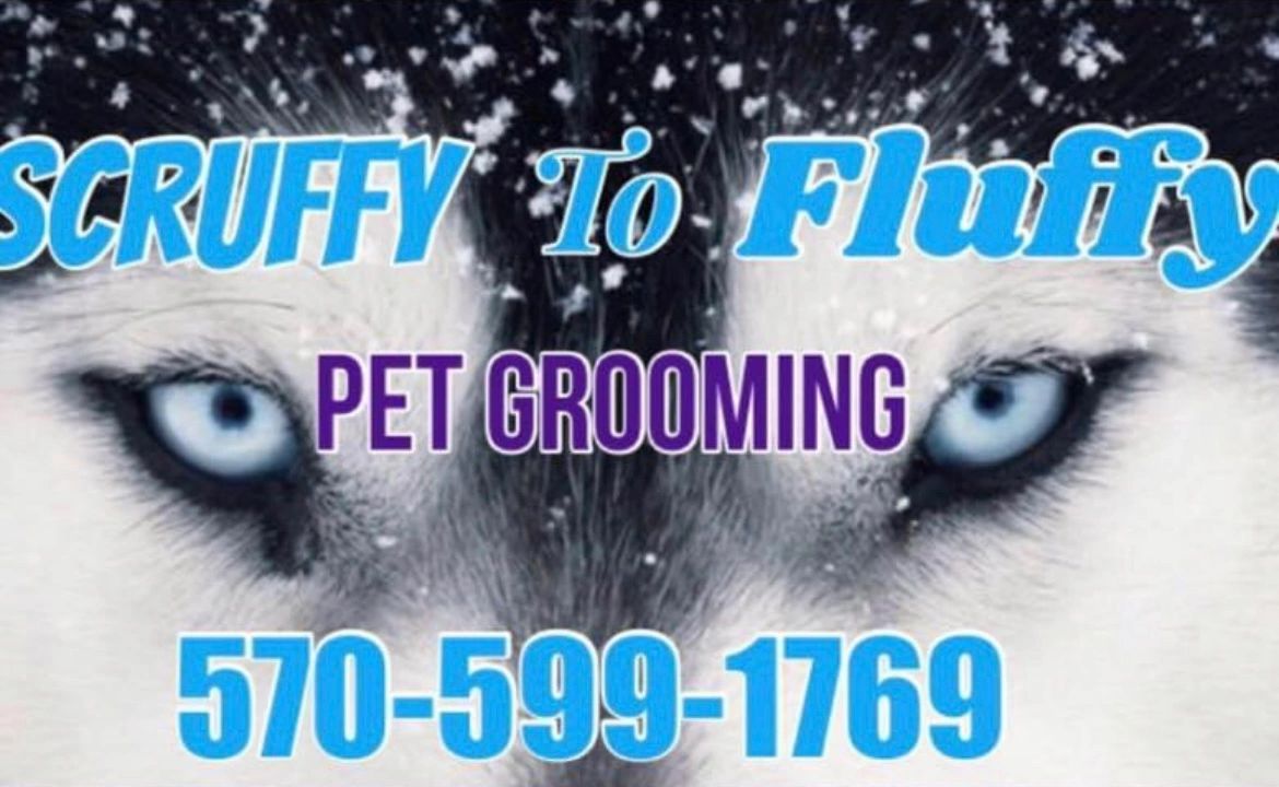 Scruffy to Fluffy Pet Grooming