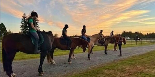 A tenant organization providing equestrian programs, boarding services, and educational activities.
