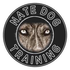 Nate Dog Training