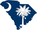 South carolina acupuncture Wellness
