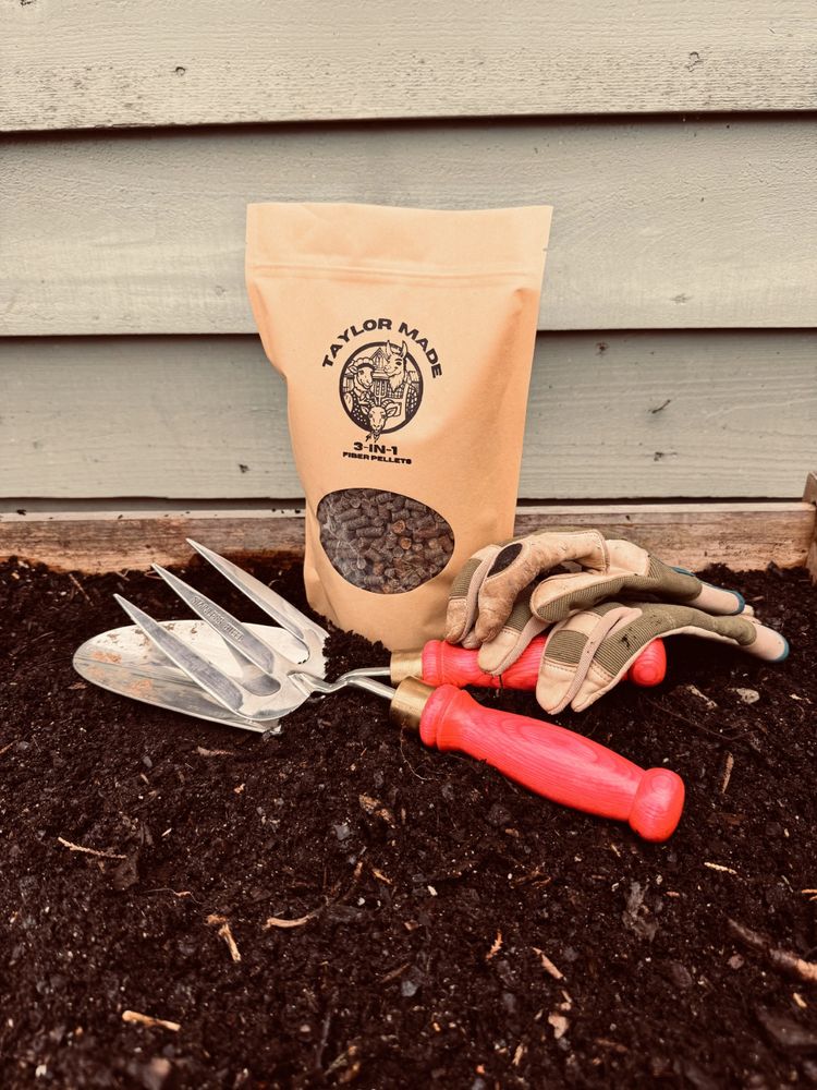 Stack of books next to pencils in a holder and a camera.