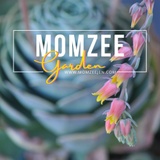 MomZee Garden