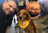 Mark Feinsand, Rookie the bat dog, Bryan Hoch