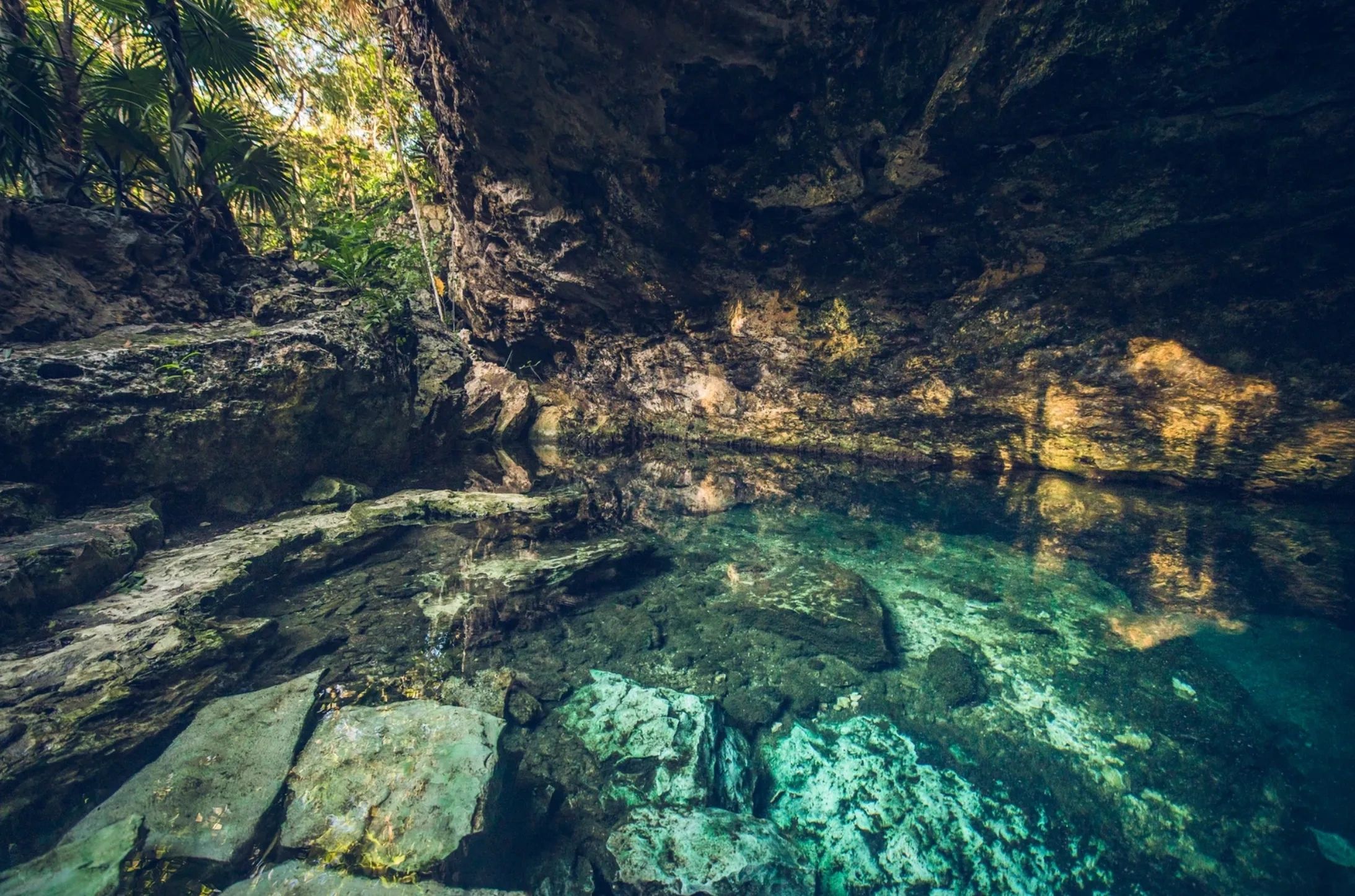 Cenote Balamha, Riviera. Maya