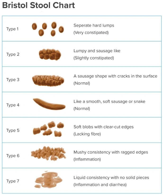 Poop Appearance - The Scoop on Your Poop's Size, Shape & Color