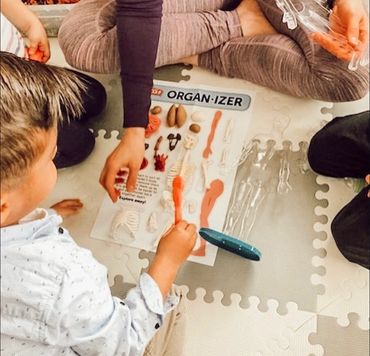 Hands-on learning about the human body!