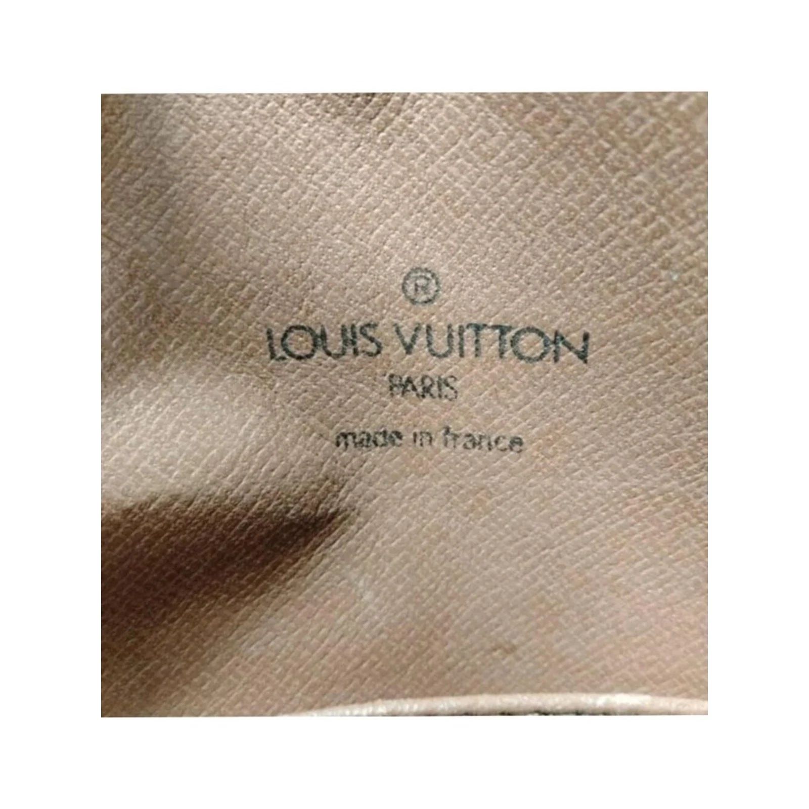 Louis Vuitton Amazone Monogram Crossbody Bag — photo 10