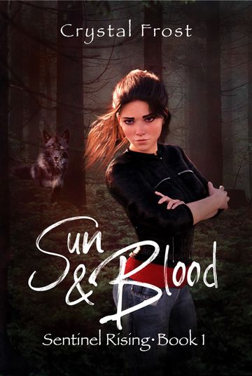 The cover of the book "Sun & Blood" with the main character depicted in a defensive stance