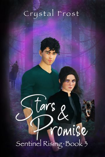 The cover of the book "Stars & Promise" with the main characters depicted in defensive stances