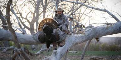 A view of Thurky Hunts
