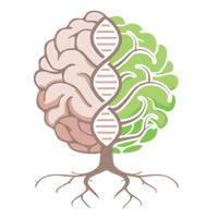 Cassandra L Naturopath 