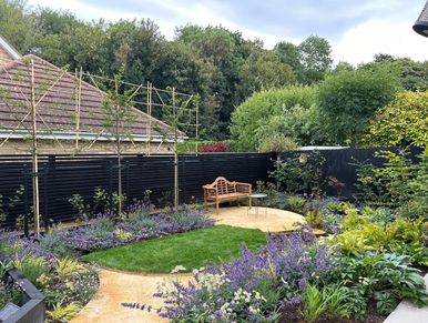 Back garden with pleached trees, black fencing, pretty planting, lawn and a self-binding gravel seat