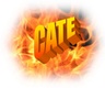 Combustion Appliance Training & Education Inc.