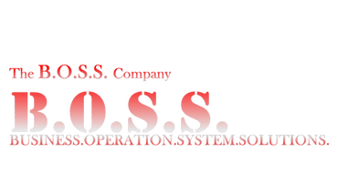 boss-professionals.com