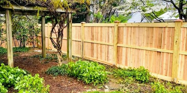Backyard with wooden fence and green plants.