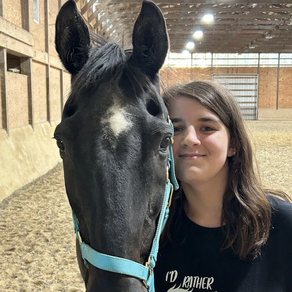 Casey's Safe Haven Holistic Horse Rescue