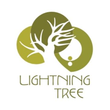 Lightning Tree | Unique Handmade Arts & Crafts Gift Shop, Wirral UK