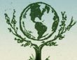 Earthly Interiors Indoor Plant Maintenance