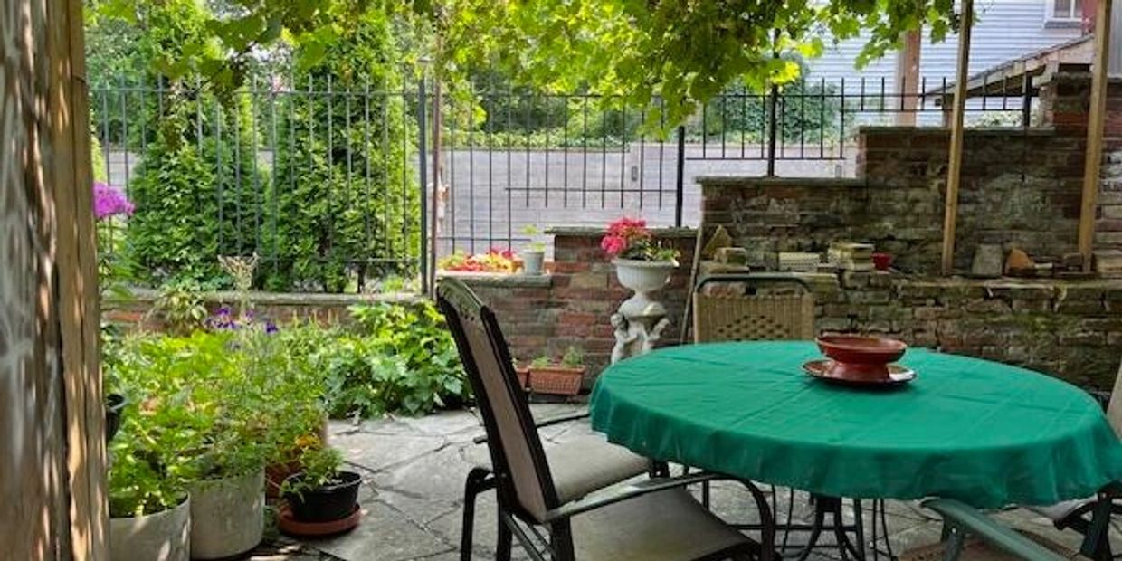 Mature Vine Trellis and outdoor eating and food prep backyard