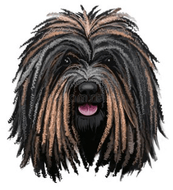 Poop dog