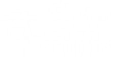 Let There Be Light Studios (Pty)Ltd.