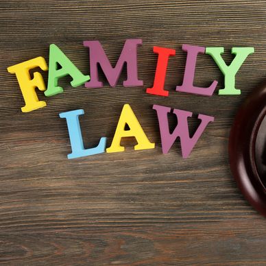 Family Law services including child custody issues and adoption. 