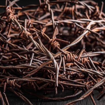 Close-up of rusty barbed wire twisted together in a tangled pile.