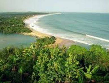 A lush green coastal landscape with a long beach meeting the ocean.