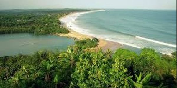 Lush greenery meets a serene coastline with gentle waves.